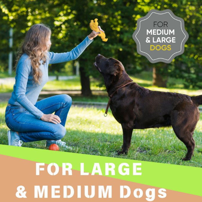 Load image into Gallery viewer, Big Dog Chew Toys for  Aggressive Chewers Heavy Duty Nylon Durable Long Lasting Interactive  Natural Human Grade chicken  Flavor for boredom Safe Chew Toy for Large dog Breed Dental Health Training
