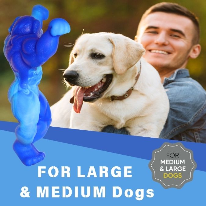 Load image into Gallery viewer, Big Dog Chew Toys for  Aggressive Chewers Heavy Duty Nylon Durable Long Lasting Interactive  Natural Human Grade Beef Flavor for bordome Safe Chew Toy for Large dog Breed Dental Health Training
