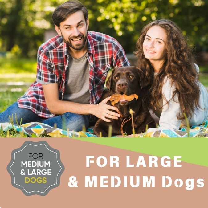 Load image into Gallery viewer, Big Dog Chew Toys for  Aggressive Chewers Heavy Duty Nylon Durable Long Lasting Interactive  Natural Human Grade cheese Flavor for boredom Safe Chew Toy for Large dog Breed Dental Health Training
