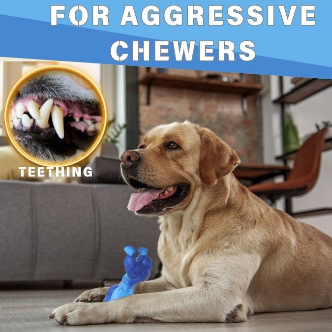 Load image into Gallery viewer, Big Dog Chew Toys for  Aggressive Chewers Heavy Duty Nylon Durable Long Lasting Interactive  Natural Human Grade Beef Flavor for bordome Safe Chew Toy for Large dog Breed Dental Health Training
