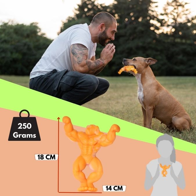 Load image into Gallery viewer, Big Dog Chew Toys for  Aggressive Chewers Heavy Duty Nylon Durable Long Lasting Interactive  Natural Human Grade cheese Flavor for boredom Safe Chew Toy for Large dog Breed Dental Health Training
