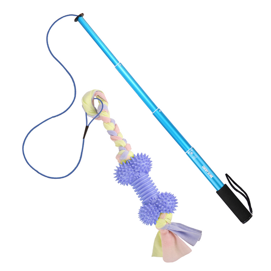 Dog Toys for Small Dog & Medium Dog Teaser Pole Wand Flirting Exercise Bungee Stick Whip Training With Teething Chew Toy 170 Cm Blue Bone [CHEWY BONE]