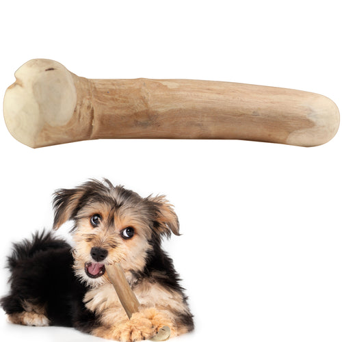 Puppy Chew Wooden Stick Bone Organic Indonesian Java Wood Small dog Teething for Aggressive chewer (Style 2)