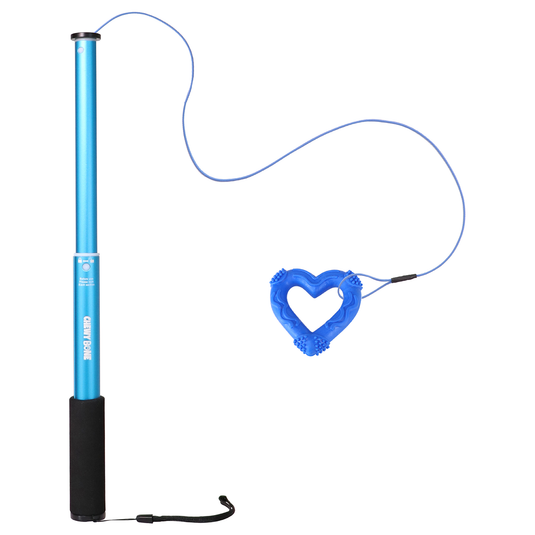 Dog Toys for Small Dog & Medium Dog Teaser Pole Wand Flirting Exercise Bungee Stick Whip Training With Teething Chew Toy 140 Cm Blue Heart [CHEWY BONE]
