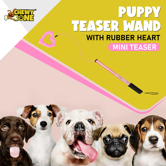 Dog Toys for Small Dog & Medium Dog Teaser Pole Wand Flirting Exercise Bungee Stick Whip Training With Teething Chew Toy 140 Cm Pink Heart [CHEWY BONE]