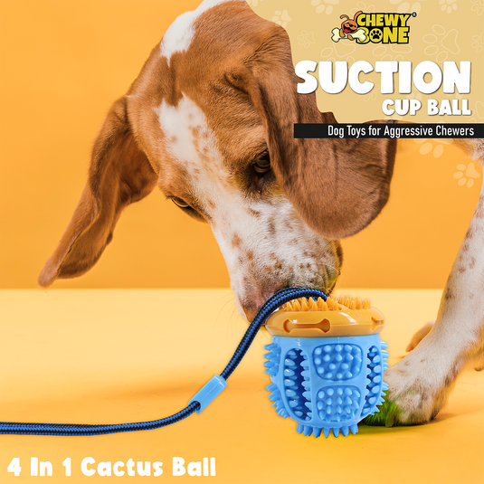 [CHEWY BONE] Medium & Small Dog Toy Suction Cup Pulling Ball Treat Dispensing Dog Toys